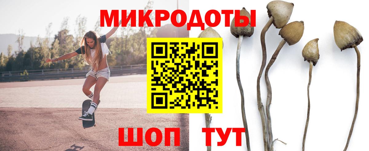 магазин продажи   Вход с VPN  Старая Русса  Псилоцибиновые грибы прущие грибы 